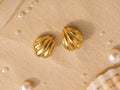 Seashell Gold Stud Earrings